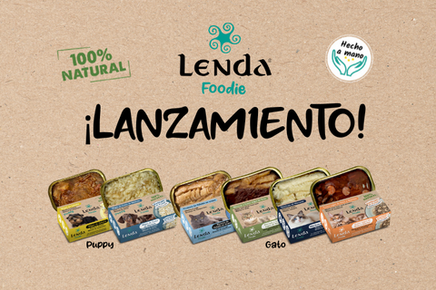 Nuevas recetas Lenda Foodie