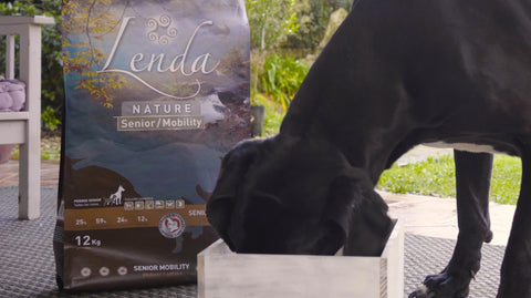 Opinión real pienso Lenda