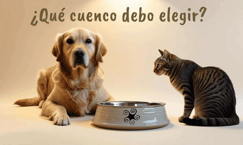 Escoge el cuenco para tu mascota