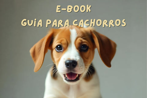 Guia para Cachorros Lenda