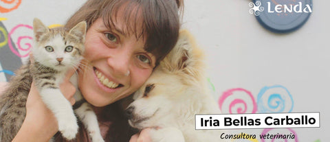 Iria Bellas Consultora Veterinaria Lenda