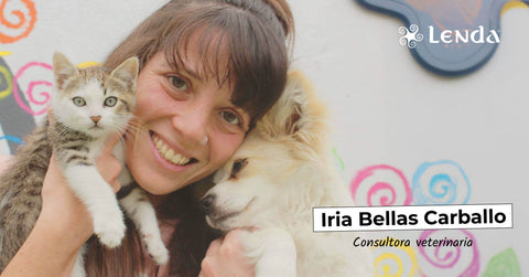 Iria Bellas Consultora Veterinaria Lenda