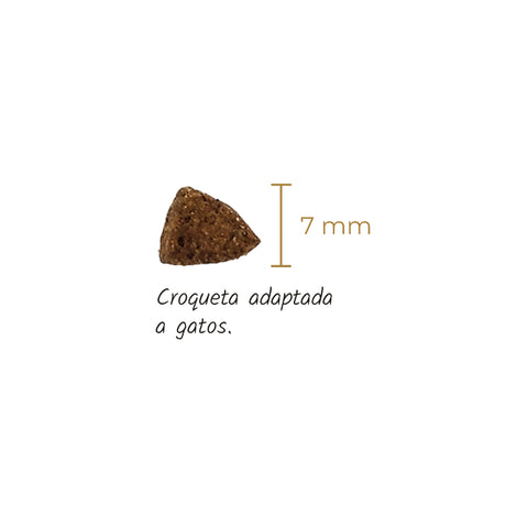 Pienso Lenda Gato Farm Poultry
