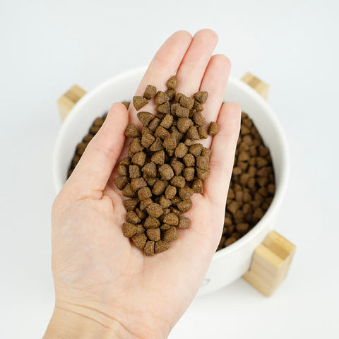 Muestras de pienso Lenda para perros