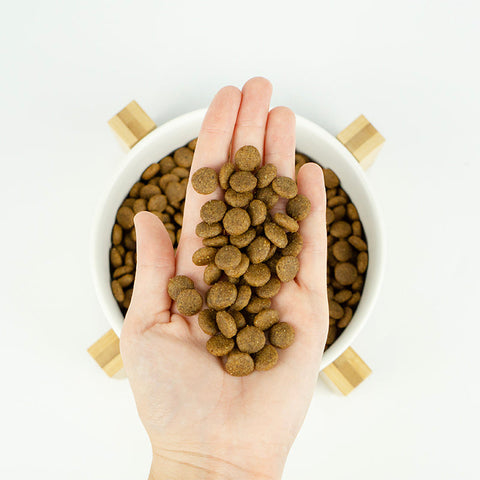 Lenda Light 15Kg