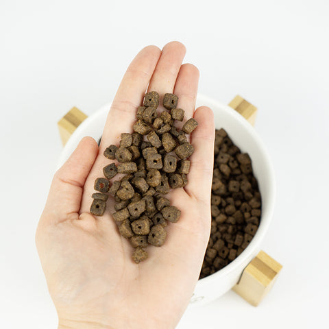 Croqueta Lenda mini meat&fish