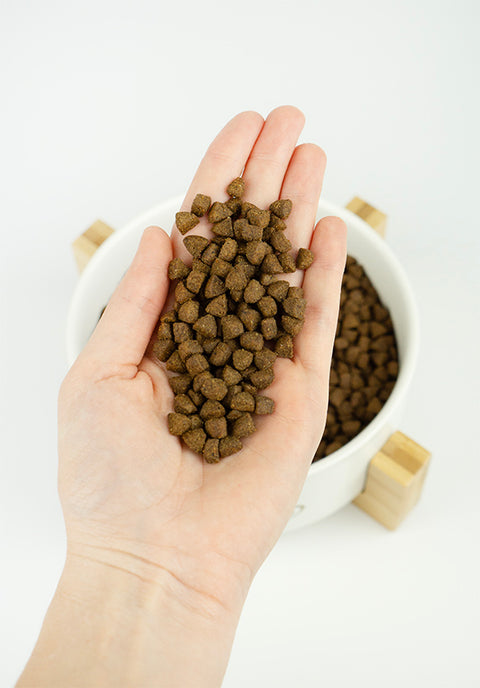 Muestras de pienso Lenda para gatos