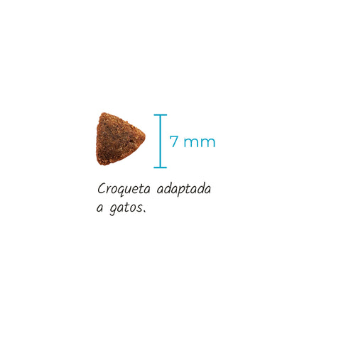 Croquetas pienso Lenda Sensitive para gato