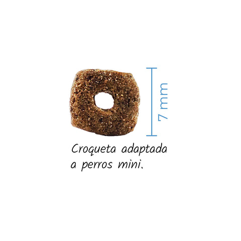 Corquetas Lenda Mini Hipoallergenic