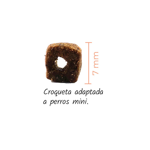Pienso Lenda Atlantic Blue Fish para perros mini