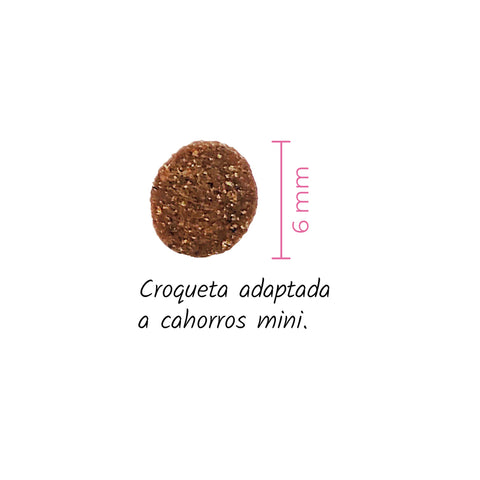 Croqueta de pienso para cachorros mini