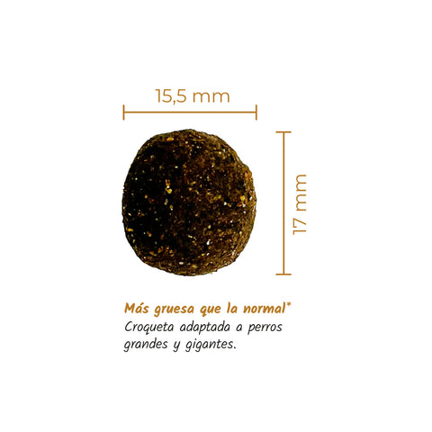 Croquetas pienso Lenda para perros maxi