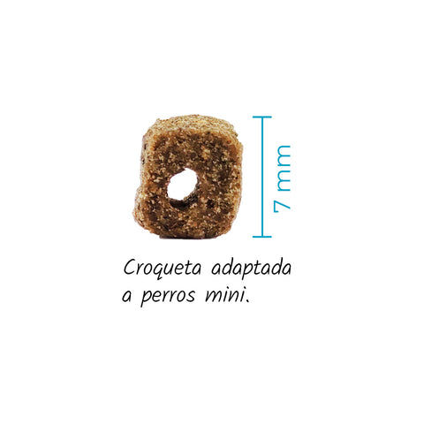Croquetas adaptada a razas de perro mini