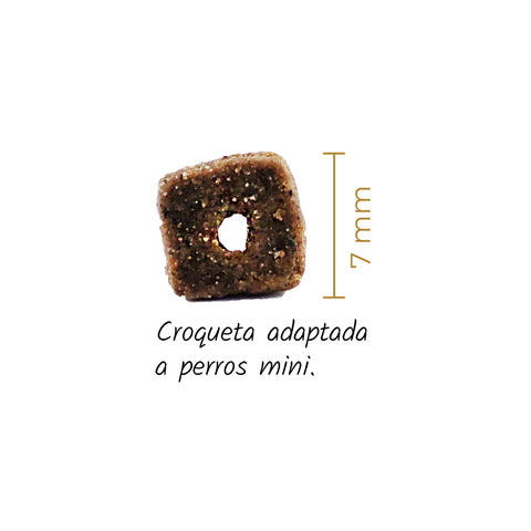 Pienso Lenda Adult Mini Meat & Fish para perros