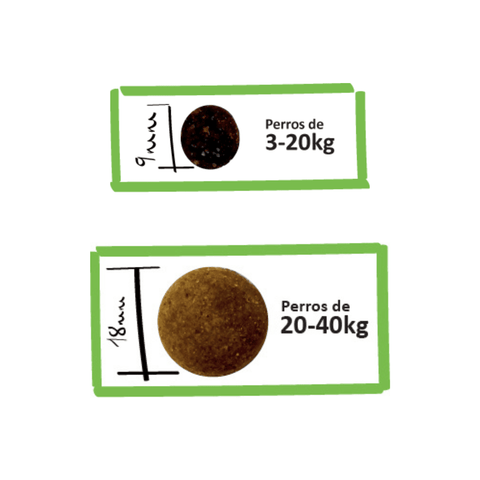 Croquetas Lenda Urban Cordero para perro
