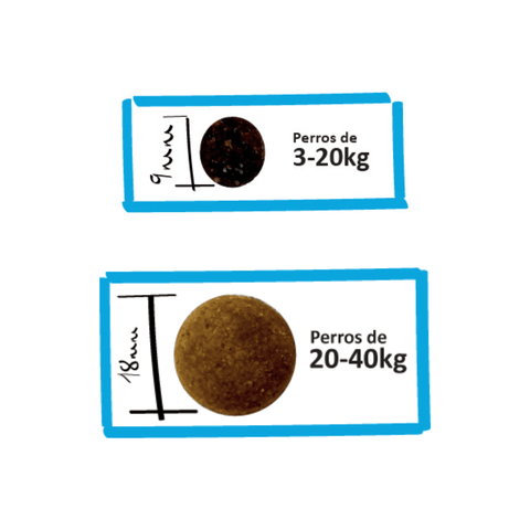 Croquetas Lenda Urban Light