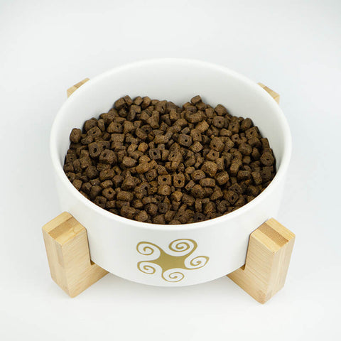 Cuenco de pienso para perros mini de salmón Lenda
