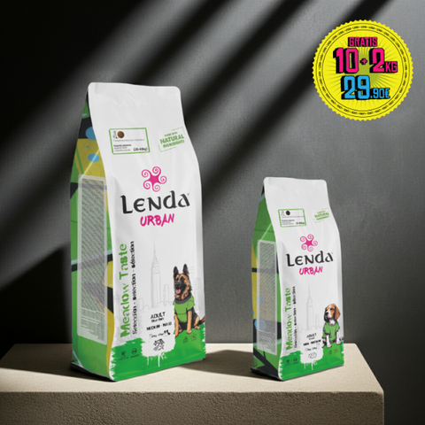 Lenda Urban Cordero