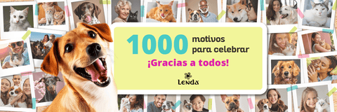 Banner motivos para celebrar