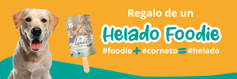 Banner helado foodie para perros
