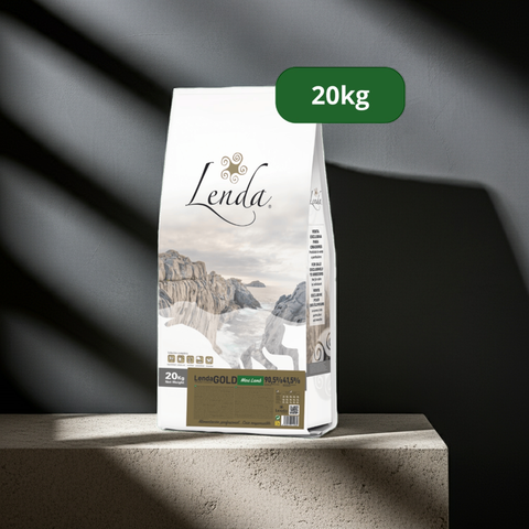 Lenda Cordero Maxi