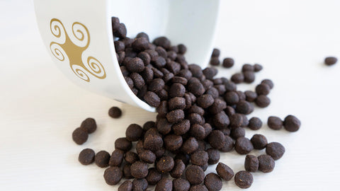 pienso para perros sin cereales