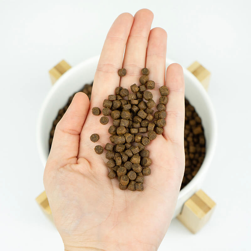 Importance of kibble size in dog foods – Lenda.Shop