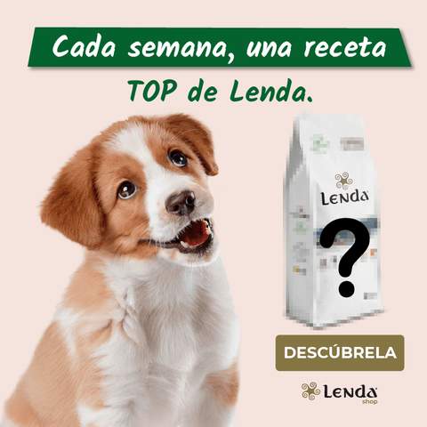 Receta TOP: Lenda Pollo 🐓