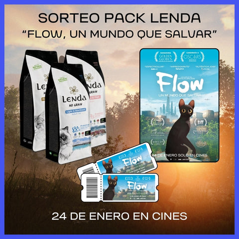 Te invitamos al cine 🍿 Flow, un mundo que salvar