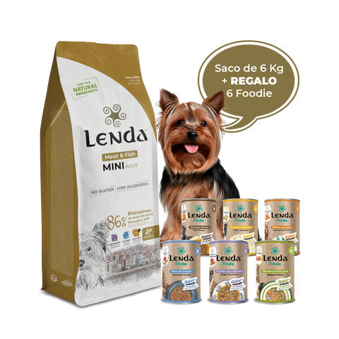 Lenda Mini