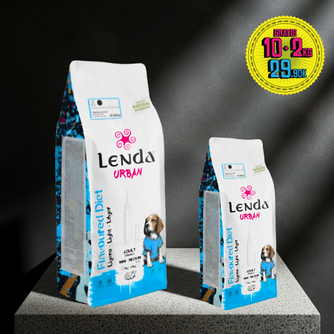 Lenda Urban Light
