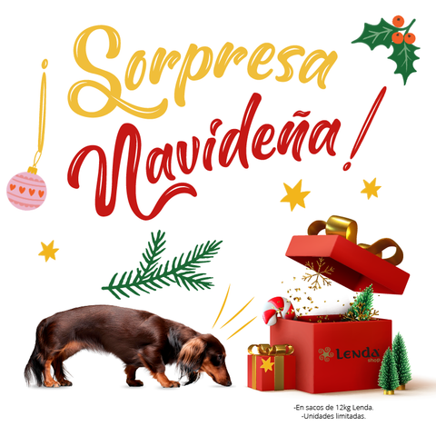 Regalo Sorpresa Navidad