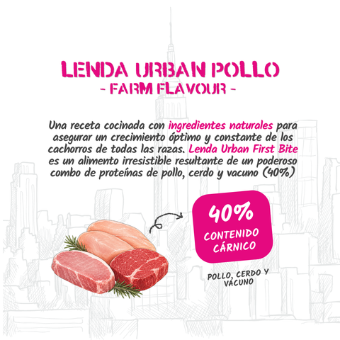 Lenda Urban Puppy
