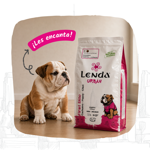 Lenda Urban Puppy