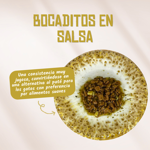 Lenda DELICAT  Bocaditos en Salsa de Pollo con Vegetales 85g para Gatos