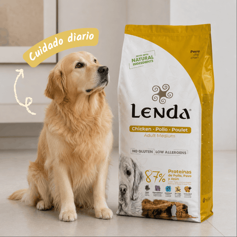 Lenda Chicken