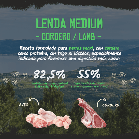 Lenda Cordero Maxi