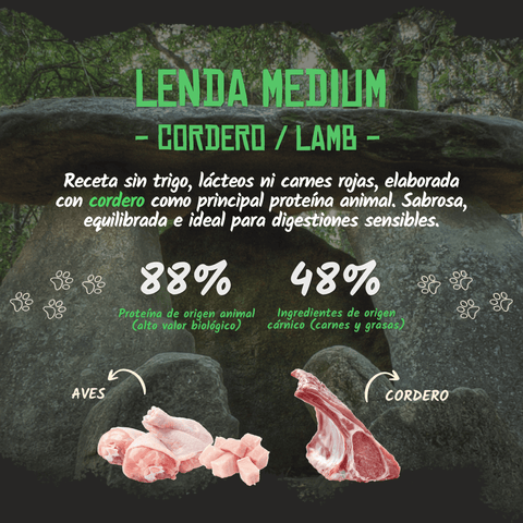 Lenda Lamb