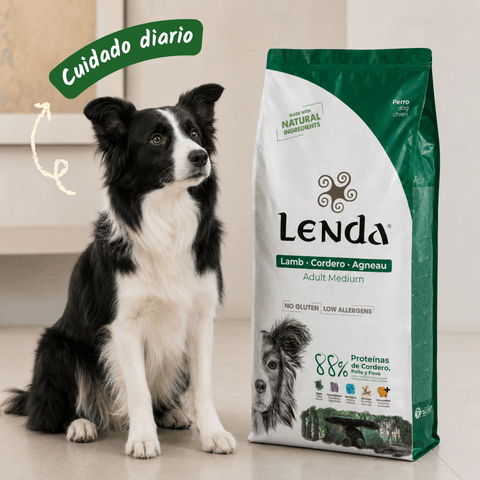Lenda Lamb