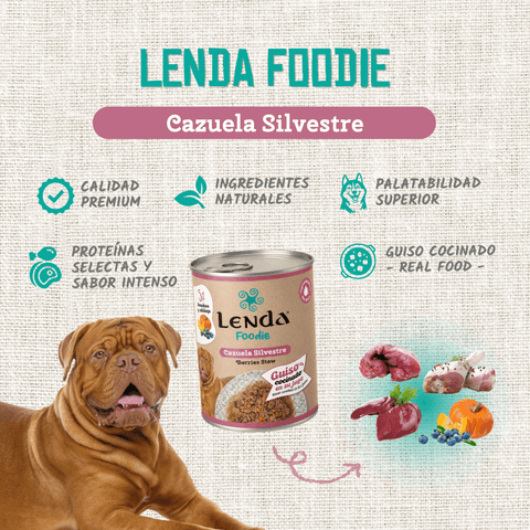 Casseruola selvatica per cani