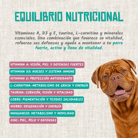 Casseruola selvatica per cani