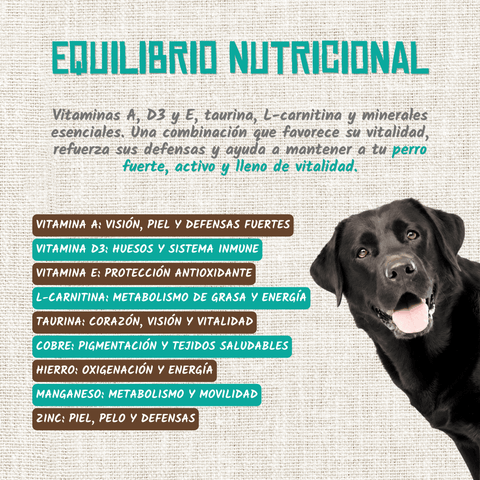Spezzatino selvatico per cani
