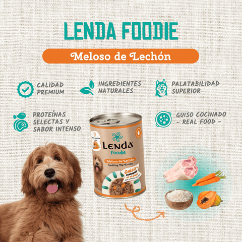 Maiale da latte in brodo per cani