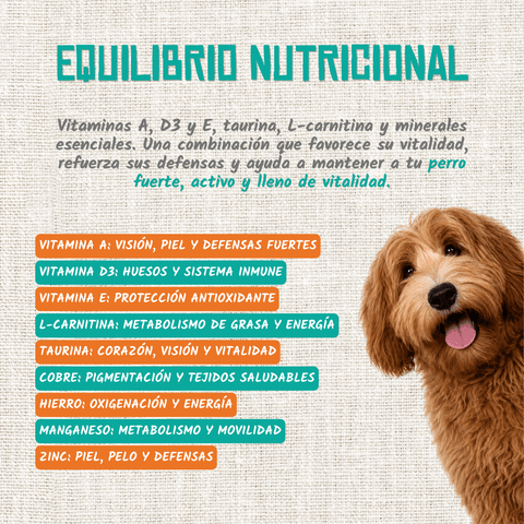 Maiale da latte in brodo per cani