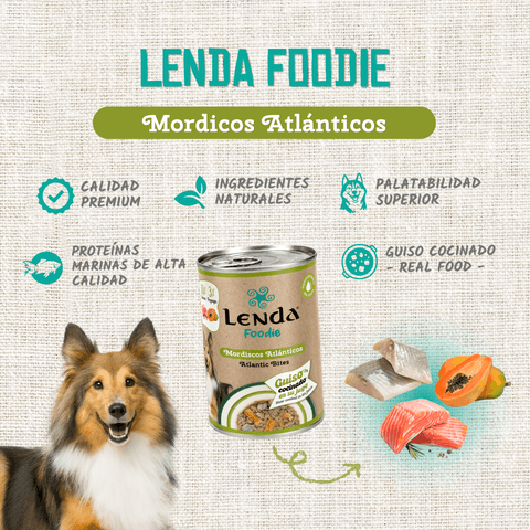 Morsi Atlantici per cani