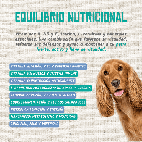 Tacchino provenzale per cani
