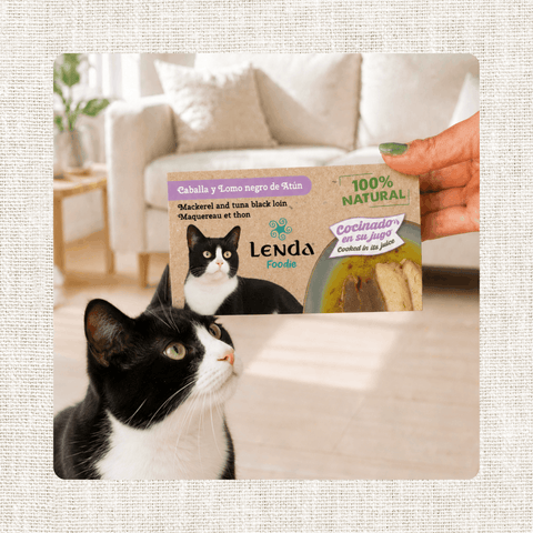 Lenda Foodie Cat Caballa y Lomo negro de Atún