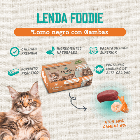 Lenda Foodie Cat Lomo negro de Atún con Gambas