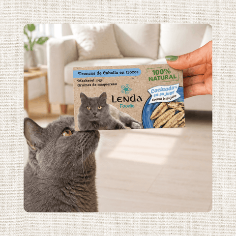 Lenda Foodie Cat Troncos de Caballa en trozos