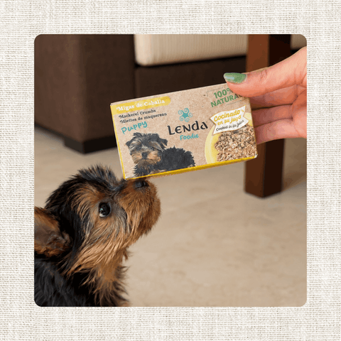 Migalhas de cavala para cachorros 120 gr
